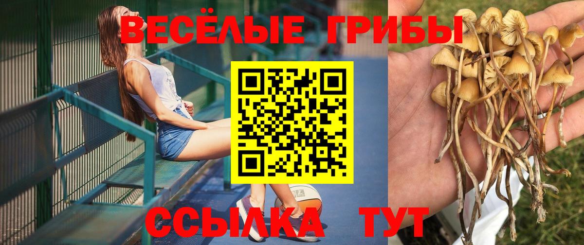 Галлюциногенные грибы ЛСД  где купить наркотик  Чернушка  Вход с VPN 